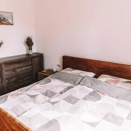 House Zlata Tatil Evi *